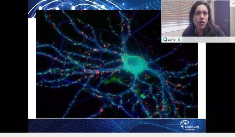 Neurociência e Educação