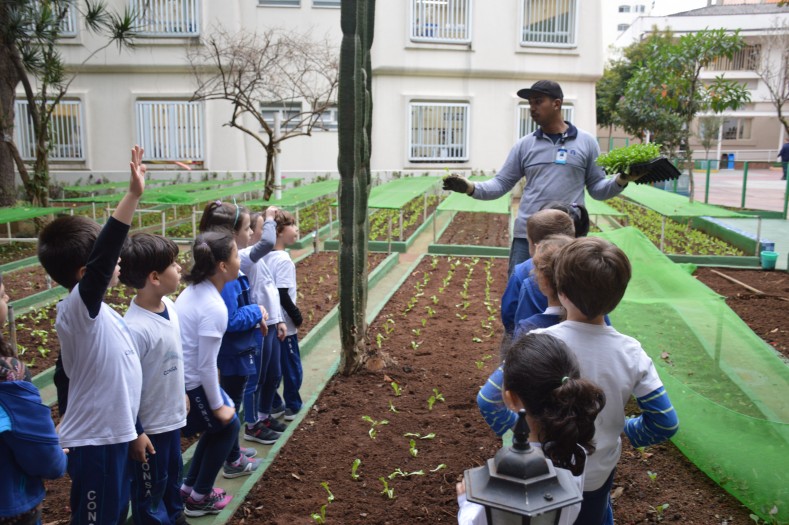 Tempo de PLANTAR