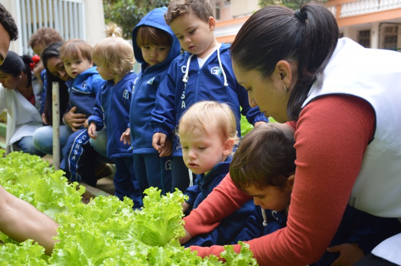 O fruto plantado agora é colhido!