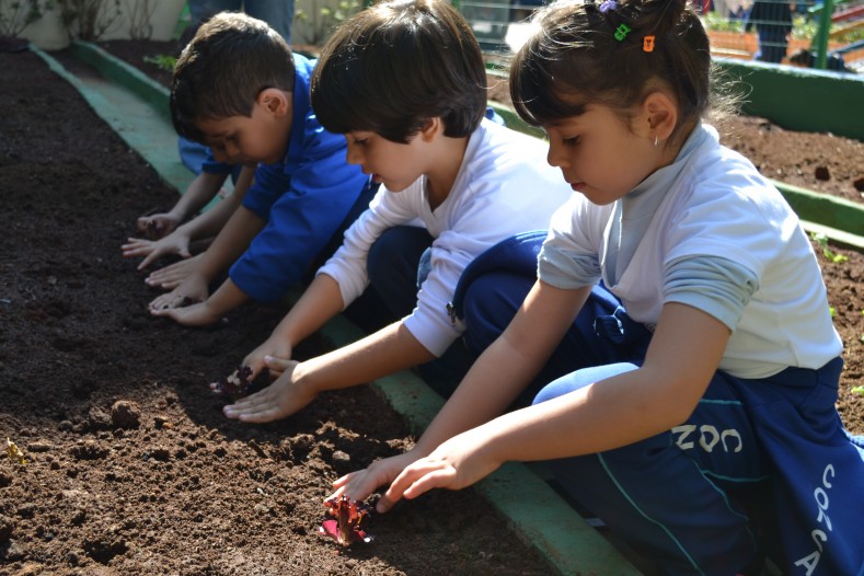 Plantando na horta do Consa