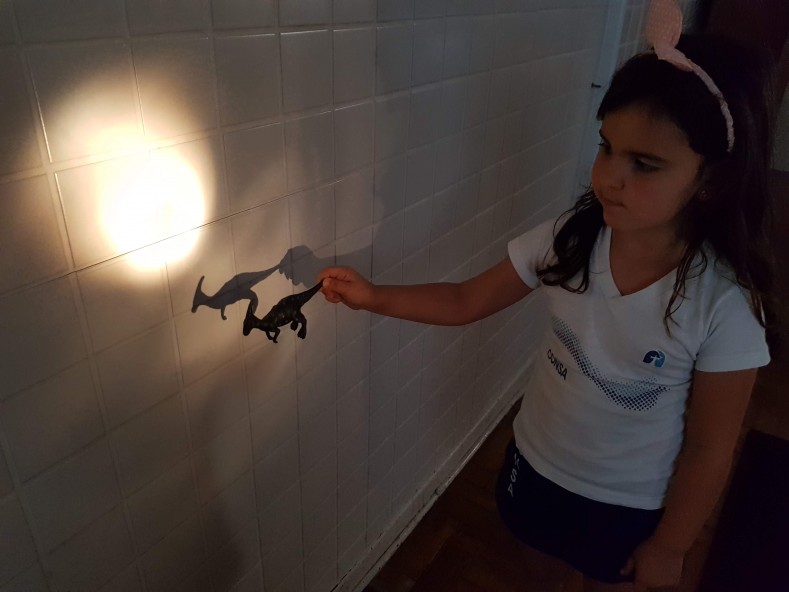 Curso Extracurricular de Língua Inglesa - Infantil 5 - Shadows Everywhere