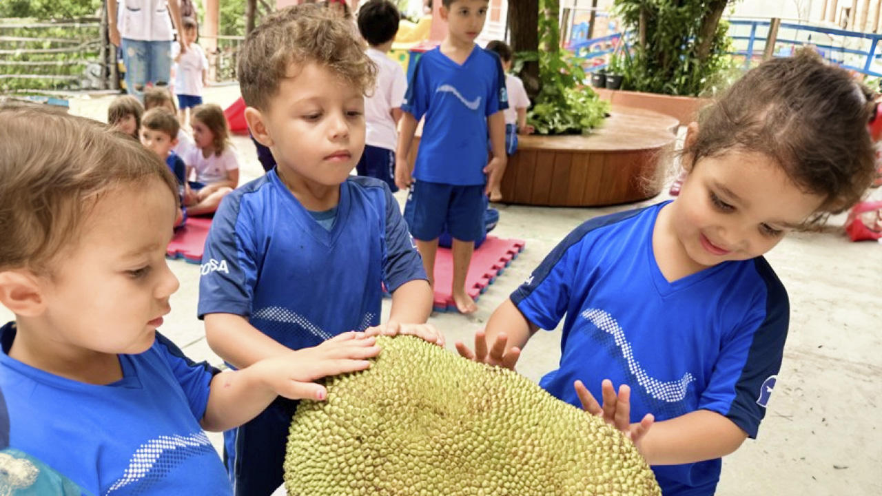 Vivendo a Natureza em Moema: Alimentação Saudável no Consa